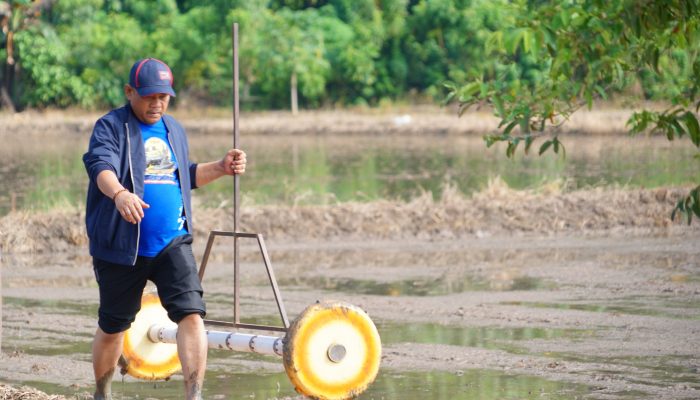 Patahudding Ajak Petani Luwu Maksimalkan Lahan Lewat IP 300