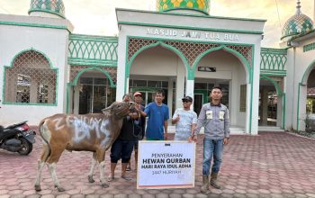 Hari Raya Idul Adha 2026, PT BMS Salurkan 14 Sapi Kurban