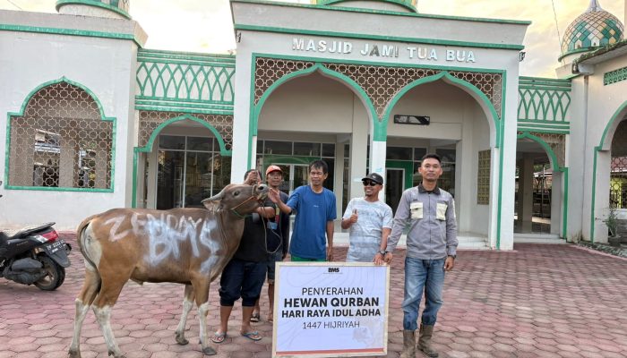 Hari Raya Idul Adha 2026, PT BMS Salurkan 14 Sapi Kurban