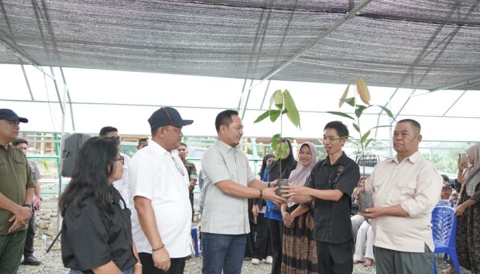 Libatkan 200 Okulator, Luwu Percepat Program Peremajaan Kakao