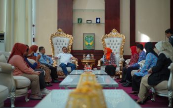 Audiensi dengan BKKBN Sulsel, Bupati Luwu Perkuat Sinergi Pembangunan Keluarga