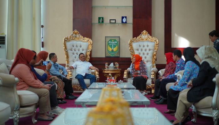 Audiensi dengan BKKBN Sulsel, Bupati Luwu Perkuat Sinergi Pembangunan Keluarga