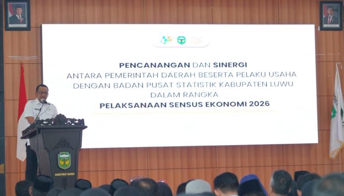 Patahudding Tegaskan Pentingnya Sensus Ekonomi untuk Dorong Investasi dan UMKM