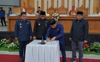 Pemkab Luwu Dorong Efektivitas Birokrasi, Ranperda Penataan Organisasi Disetujui