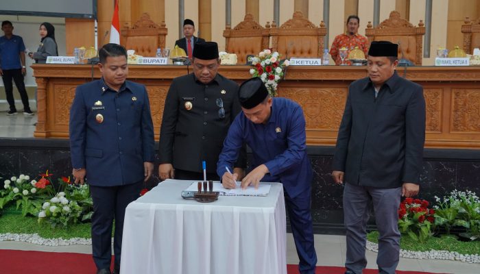 Pemkab Luwu Dorong Efektivitas Birokrasi, Ranperda Penataan Organisasi Disetujui